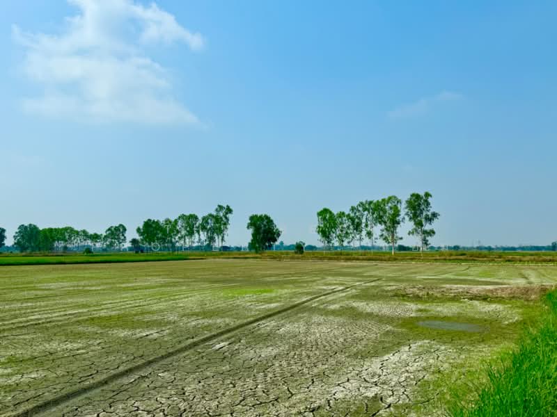 For Sale - ที่ดินพรหมบุรี สิงห์บุรี, Sing Buri