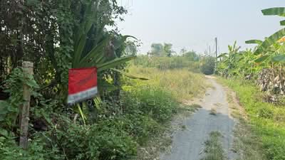 ขาย - ที่ดินสารภี เชียงใหม่, เชียงใหม่