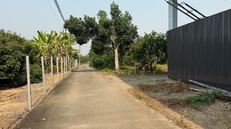 ที่ดินสารภี เชียงใหม่, เชียงใหม่, ขัวมุง, สารภี, เชียงใหม่, 332 ตร.ม., ที่ดิน ขาย, โดย The Best Property บอย, 500226522 - DDproperty.com