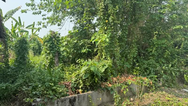 ที่ดินสารภี เชียงใหม่, Chiang Mai, Kho Muong, Saraphi, Chiang Mai, , 332 sqm, Land For Sale, by The Best Property บอย, 500226522 - DDproperty.com