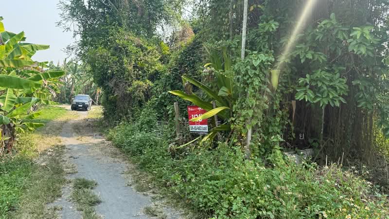 ที่ดินสารภี เชียงใหม่, Chiang Mai, Kho Muong, Saraphi, Chiang Mai, , 332 sqm, Land For Sale, by The Best Property บอย, 500226522 - DDproperty.com