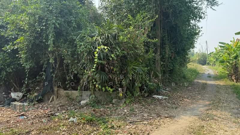 ที่ดินสารภี เชียงใหม่, Chiang Mai, Kho Muong, Saraphi, Chiang Mai, , 332 sqm, Land For Sale, by The Best Property บอย, 500226522 - DDproperty.com