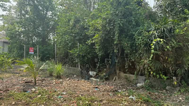 ที่ดินสารภี เชียงใหม่, Chiang Mai, Kho Muong, Saraphi, Chiang Mai, , 332 sqm, Land For Sale, by The Best Property บอย, 500226522 - DDproperty.com