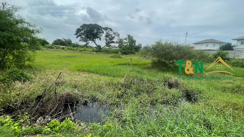 ที่ดินเปล่า 5-2-78 ไร่ บางคูวัด, Pathum Thani, Bang Khu Wat, Muang Pathum Thani, Pathum Thani, , 9,112 sqm, Land For Sale, by MANANYA PHATHONG, 500226595 - DDproperty.com