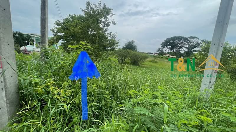 ที่ดินเปล่า 5-2-78 ไร่ บางคูวัด, Pathum Thani, Bang Khu Wat, Muang Pathum Thani, Pathum Thani, , 9,112 sqm, Land For Sale, by MANANYA PHATHONG, 500226595 - DDproperty.com