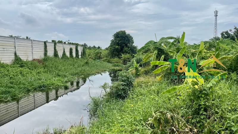 ที่ดินเปล่า 5-2-78 ไร่ บางคูวัด, Pathum Thani, Bang Khu Wat, Muang Pathum Thani, Pathum Thani, , 9,112 sqm, Land For Sale, by MANANYA PHATHONG, 500226595 - DDproperty.com