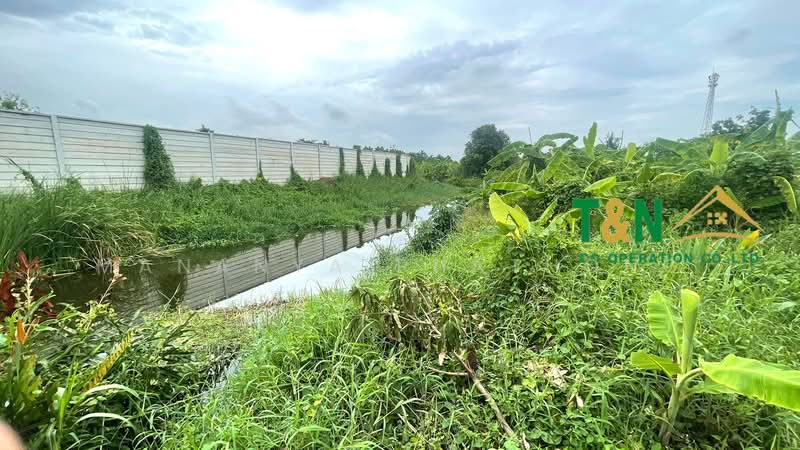 ที่ดินเปล่า 5-2-78 ไร่ บางคูวัด, Pathum Thani, Bang Khu Wat, Muang Pathum Thani, Pathum Thani, , 9,112 sqm, Land For Sale, by MANANYA PHATHONG, 500226595 - DDproperty.com