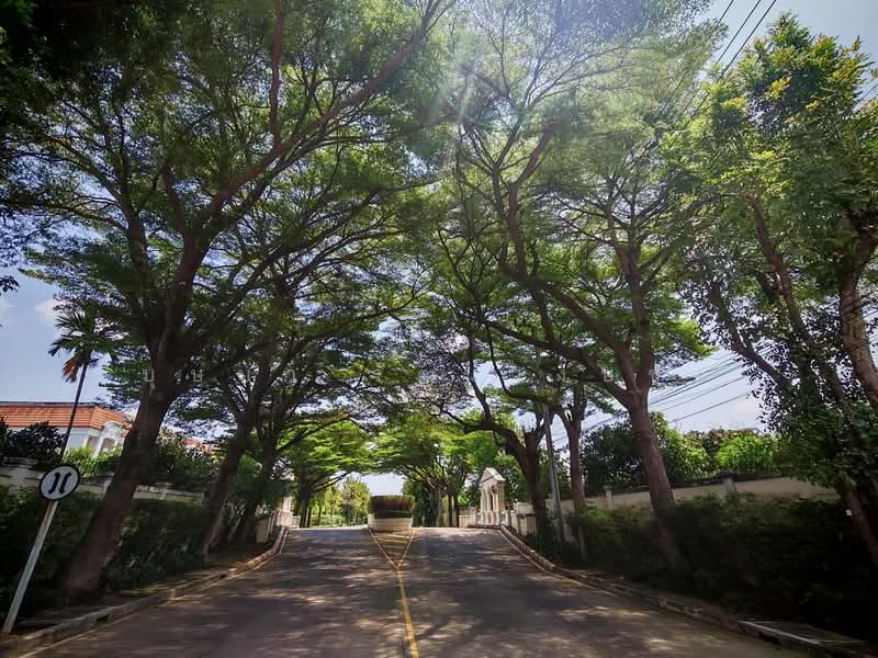 Urban Sathorn, Bangkok, Ratchaphruek Road, Bang Chak, Phasi Charoen, Bangkok, 4 Bedrooms, 300 sqm, Townhouse For Rent, by บุษบา รัตนวงษ์ชัย, 500226638 - DDproperty.com