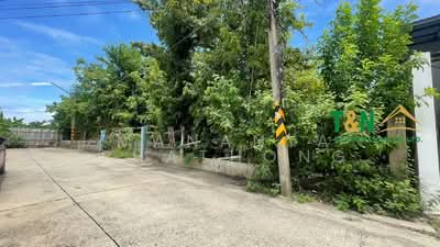 ขาย - ที่ดินเปล่า 309 ตารางวา ซอยบางคูวัด - นนทบุรี 1 (ซอยเทพนิมิตร), ปทุมธานี