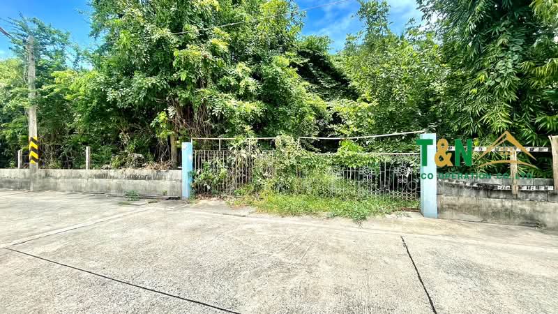 ขาย - ที่ดินเปล่า 309 ตารางวา ซอยบางคูวัด - นนทบุรี 1 (ซอยเทพนิมิตร), ปทุมธานี