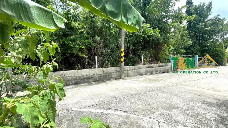 ขาย - ที่ดินเปล่า 309 ตารางวา ซอยบางคูวัด - นนทบุรี 1 (ซอยเทพนิมิตร), ปทุมธานี