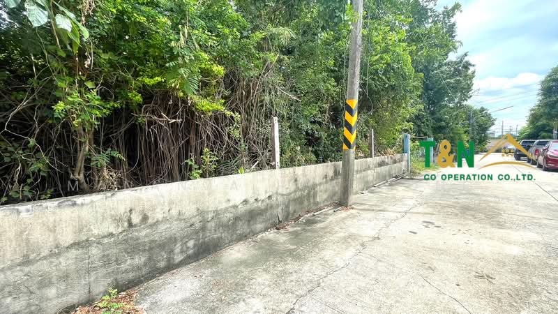 ขาย - ที่ดินเปล่า 309 ตารางวา ซอยบางคูวัด - นนทบุรี 1 (ซอยเทพนิมิตร), ปทุมธานี