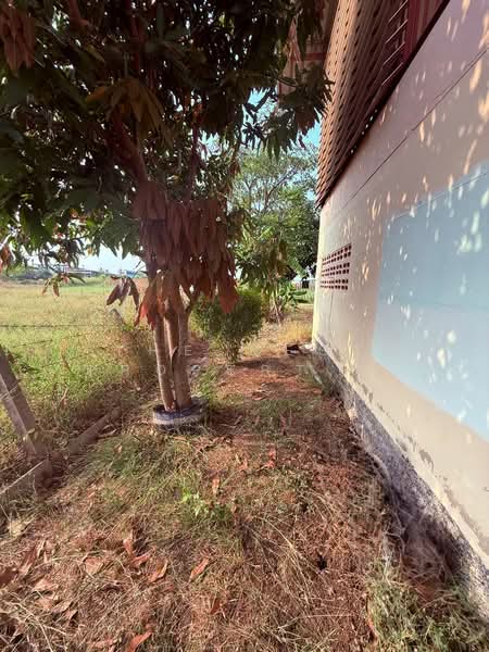 For Sale - บ้านเดี่ยวพร้อมที่ดินป่าตาล ลพบุรี, Lop Buri