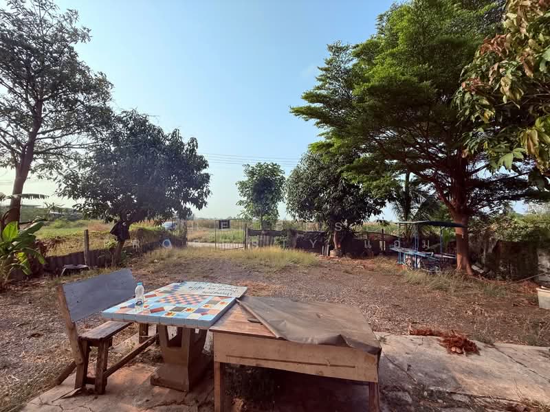 บ้านเดี่ยวพร้อมที่ดินป่าตาล ลพบุรี, ลพบุรี, ป่าตาล, เมืองลพบุรี, ลพบุรี, 120 ตร.ม., บ้านเดี่ยว ขาย, โดย The Best Property แอม, 500226911 - DDproperty.com