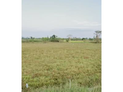 ขาย - ที่ดินปากท่อ ราชบุรี, ราชบุรี