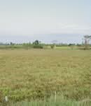 ที่ดินปากท่อ ราชบุรี, ราชบุรี
