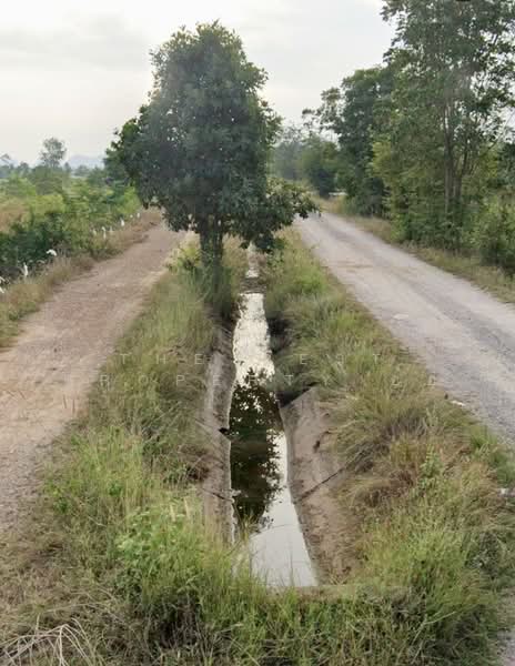 ขาย - ที่ดินปากท่อ ราชบุรี, ราชบุรี