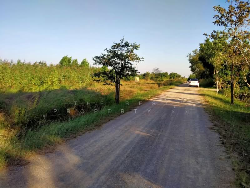 For Sale - ที่ดินปากท่อ ราชบุรี, Ratchaburi