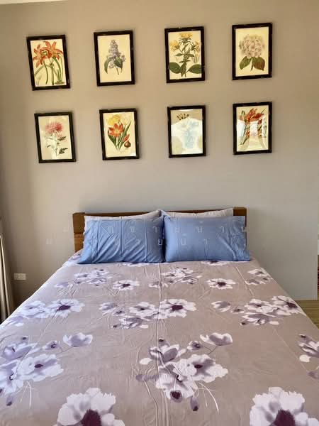 ขายบ้านเดี่ยว/รีสอร์ท พร้อมที่ดิน 10ไร่ วิวภูเขา เหมาะทำโรงแรม รีสอร์ท โฮมสเตย์ พูลวิลล่า Air bnb, สระบุรี, 4016, แสลงพัน, วังม่วง, สระบุรี, 2,000 ตร.ม., บ้านเดี่ยว ขาย, โดย ฝากขายบ้าน ฝากขายบ้านมือสอง ฝากขายอสัง Realty HuB, 500227297 - DDproperty.com