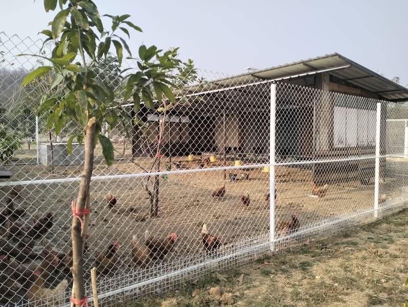 ขายที่ดิน 10ไร่ พร้อมบ้านเดี่ยว/รีสอร์ท วิวภูเขา อ.วังม่วง เหมาะทำรีสอร์ท โฮมสเตย์ Air bnb, สระบุรี, แสลงพัน, วังม่วง, สระบุรี, 16,000 ตร.ม., ที่ดิน ขาย, โดย ฝากขายบ้าน ฝากขายบ้านมือสอง ฝากขายอสัง Realty HuB, 500227386 - DDproperty.com