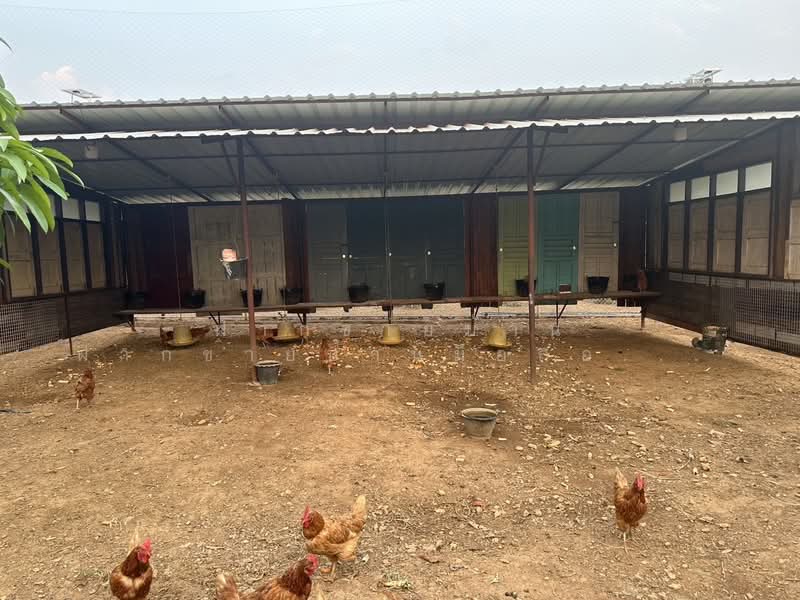 ขายที่ดิน 10ไร่ พร้อมบ้านเดี่ยว/รีสอร์ท วิวภูเขา อ.วังม่วง เหมาะทำรีสอร์ท โฮมสเตย์ Air bnb, Saraburi, Salang Phun, Wang Muang, Saraburi, , 16,000 sqm, Land For Sale, by ฝากขายบ้าน ฝากขายบ้านมือสอง ฝากขายอสัง Realty HuB, 500227386 - DDproperty.com