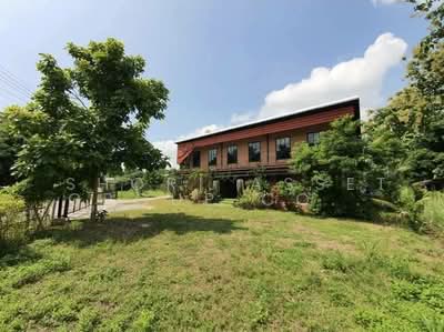 ขาย - บ้านพร้อมกิจการร้านอาหารอำเภอฮอด, เชียงใหม่