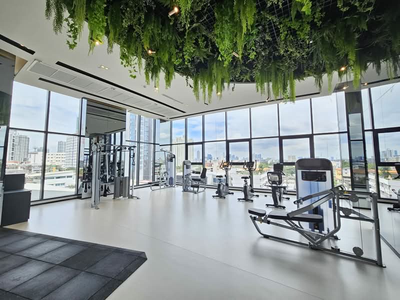 IDEO Sukhumvit Rama 4, Bangkok, Soi Sukhumvit 44, Sukhumvit Road, Phra Kanong, Khlong Toei, Bangkok, 1 Bedroom, 36 sqm, Condo For Rent, by Eric Fu, 500227407 - DDproperty.com