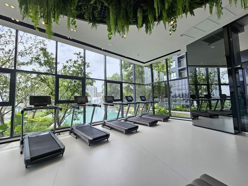 IDEO Sukhumvit Rama 4 : ไอดีโอ สุขุมวิท - พระราม 4, กรุงเทพ, ซอยสุขุมวิท 44 ถนนสุขุมวิท, พระโขนง, คลองเตย, กรุงเทพ, 36 ตร.ม., คอนโด ให้เช่า, โดย Eric Fu, 500227407 - DDproperty.com