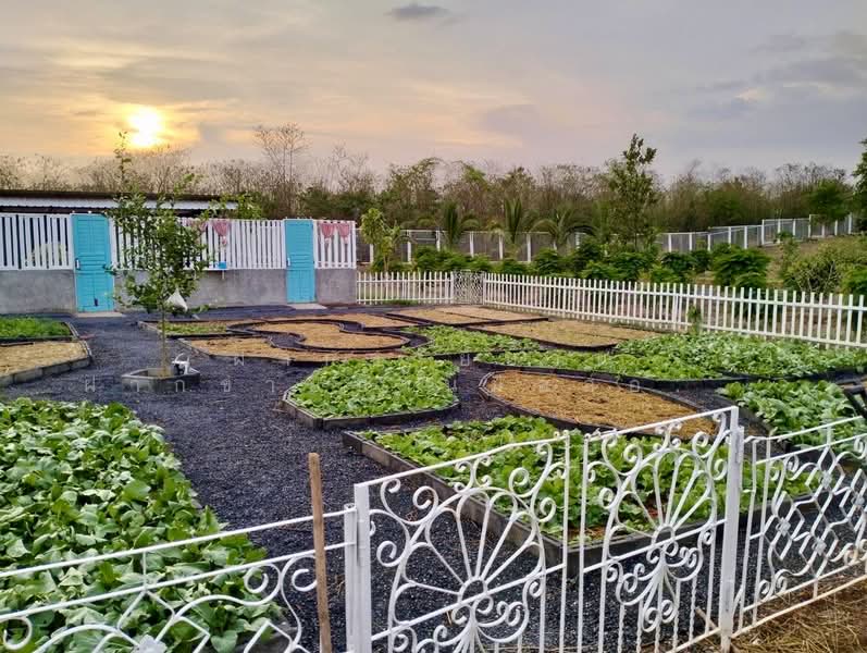 ขาย - ขายบ้านเดี่ยว/รีสอร์ท พร้อมที่ดิน 10ไร่ วิวภูเขา เหมาะทำโรงแรม รีสอร์ท โฮมสเตย์ พูลวิลล่า Air bnb, สระบุรี