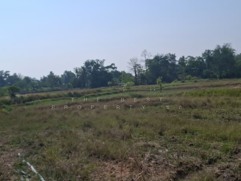 ที่ดินคง นครราชสีมา, Nakhon Ratchasima, Nong Manao, Khong, Nakhon Ratchasima, , 6,400 sqm, Land For Sale, by The Best Property ชล, 500227473 - DDproperty.com
