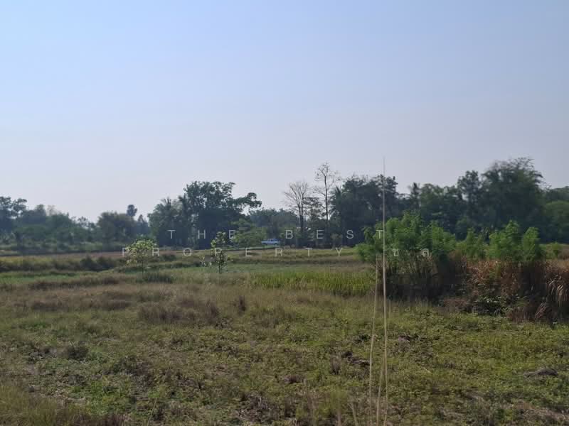 ที่ดินคง นครราชสีมา, Nakhon Ratchasima, Nong Manao, Khong, Nakhon Ratchasima, , 6,400 sqm, Land For Sale, by The Best Property ชล, 500227473 - DDproperty.com