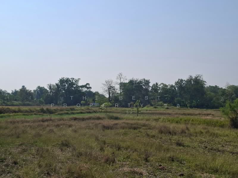 ที่ดินคง นครราชสีมา, Nakhon Ratchasima, Nong Manao, Khong, Nakhon Ratchasima, , 6,400 sqm, Land For Sale, by The Best Property ชล, 500227473 - DDproperty.com