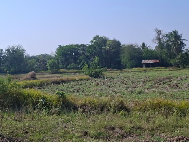 ที่ดินคง นครราชสีมา, Nakhon Ratchasima, Nong Manao, Khong, Nakhon Ratchasima, , 6,400 sqm, Land For Sale, by The Best Property ชล, 500227473 - DDproperty.com
