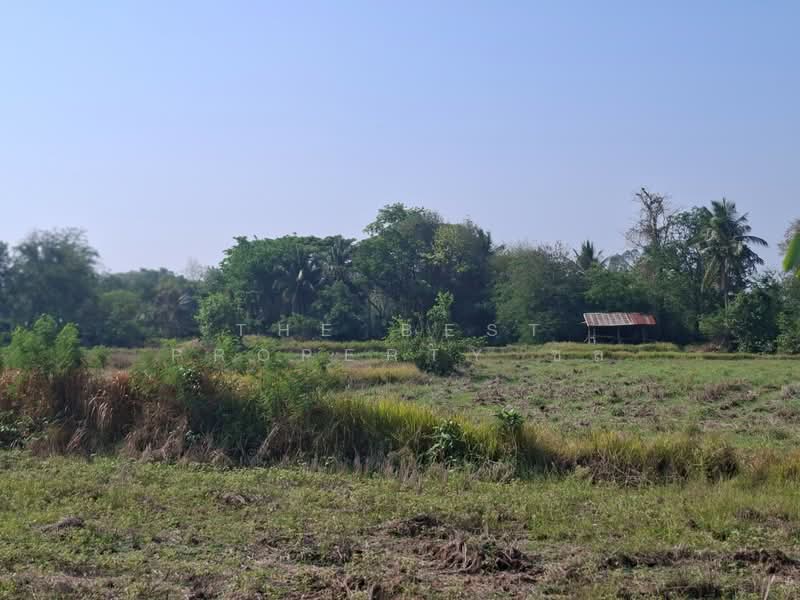 ที่ดินคง นครราชสีมา, Nakhon Ratchasima, Nong Manao, Khong, Nakhon Ratchasima, , 6,400 sqm, Land For Sale, by The Best Property ชล, 500227473 - DDproperty.com