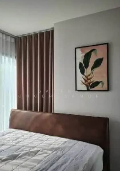 Life Sukhumvit 62, Bangkok, Soi Sukhumvit 62, Bang Chak, Phra Khanong, Bangkok, 2 Bedrooms, 50 sqm, Condo For Rent, by Sarena Choengsamor, 500227788 - DDproperty.com