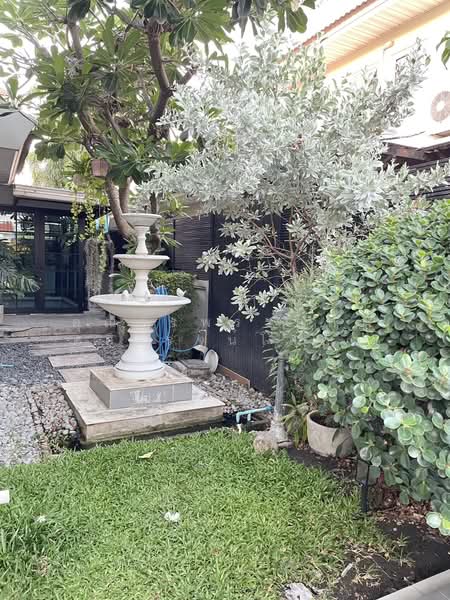 ให้เช่า - Perfect Place Ramkhamhaeng 164 : เพอร์เฟค เพลส รามคำแหง 164, กรุงเทพ