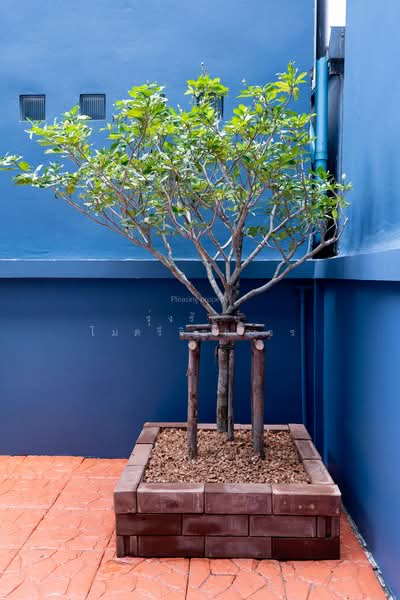 Haus 35 Chaengwattana : เฮ้าส์ 35 แจ้งวัฒนะ, นนทบุรี, ซอย ปากเกร็ด-แจ้งวัฒนะ 35, คลองเกลือ, ปากเกร็ด, นนทบุรี, 162 ตร.ม., ทาวน์เฮ้าส์ ขาย, โดย รุ่งรัตน์ ไมตรีจิตถาวร, 500227857 - DDproperty.com