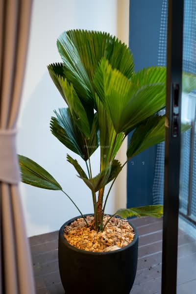Haus 35 Chaengwattana, Nonthaburi, Soi Pakkred - Chaengwattana 35, Khlong Klue, Pak Kret, Nonthaburi, 3 Bedrooms, 162 sqm, Townhouse For Sale, by Roongrat Maitreejittawon, 500227857 - DDproperty.com