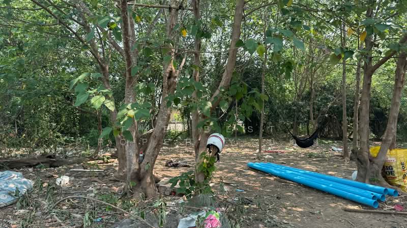 ที่ดินหางดง เชียงใหม่, Chiang Mai, Nong Tong, Hang Dong, Chiang Mai, , 1,584 sqm, Land For Sale, by The Best Property บอย, 500227883 - DDproperty.com