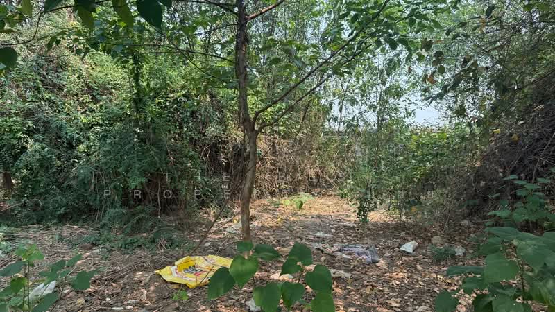 ที่ดินหางดง เชียงใหม่, Chiang Mai, Nong Tong, Hang Dong, Chiang Mai, , 1,584 sqm, Land For Sale, by The Best Property บอย, 500227883 - DDproperty.com