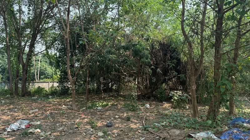 ที่ดินหางดง เชียงใหม่, Chiang Mai, Nong Tong, Hang Dong, Chiang Mai, , 1,584 sqm, Land For Sale, by The Best Property บอย, 500227883 - DDproperty.com