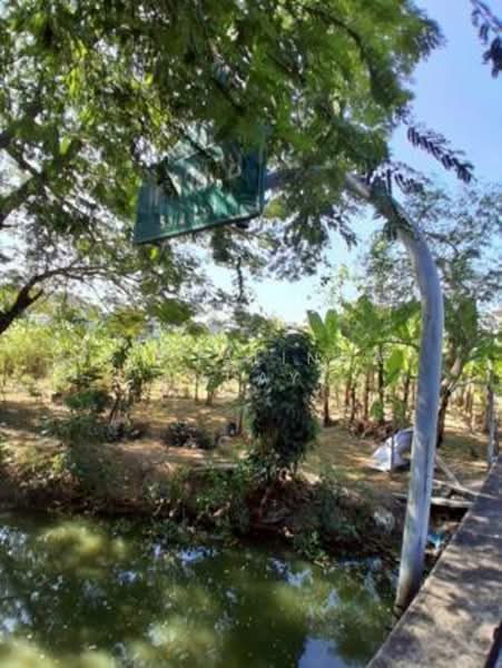 Land for Sale and Rent ขาย/เช่า ที่ดินทำเลดี สุขุมวิท-พระโขนง ซอยปรีดีพนมยงค์ 14, กรุงเทพ, พระโขนงเหนือ, วัฒนา, กรุงเทพ, 1,548 ตร.ม., ที่ดิน ขาย, โดย Sasialinda, 500227897 - DDproperty.com