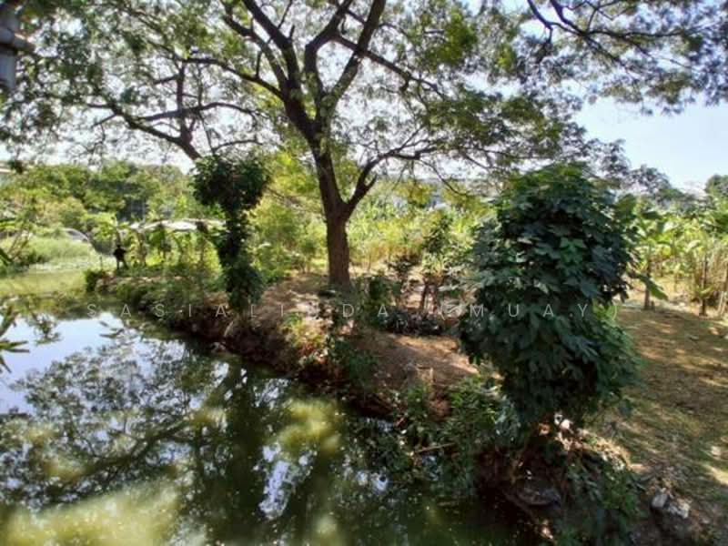 Land for sale 387 sqw, Bangkok, Phra Kanong Nua, Watthana, Bangkok, , 1,548 sqm, Land For Sale, by Sasialinda (Muay), 500227897 - DDproperty.com