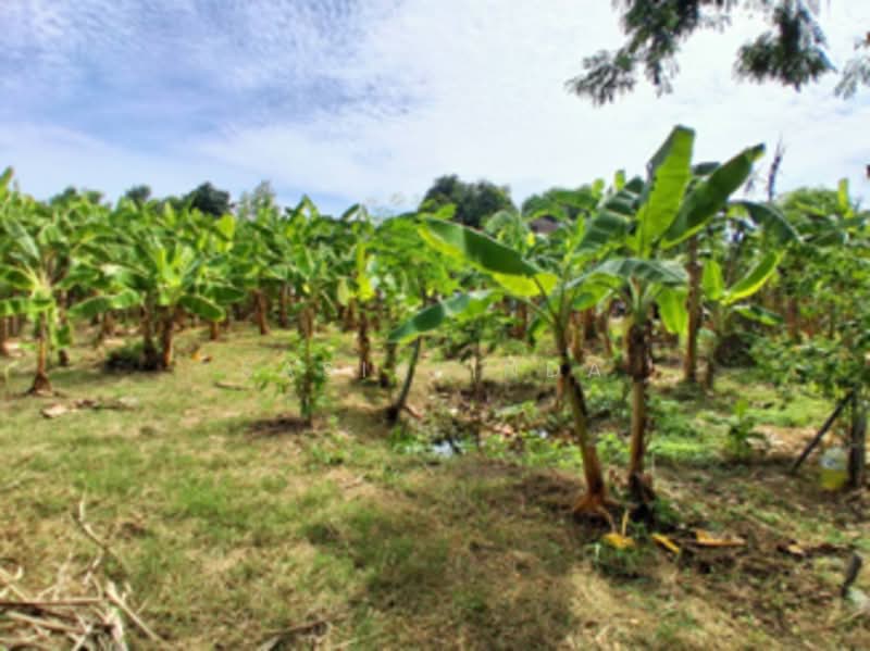 Land for sale 387 sqw, Bangkok, Phra Kanong Nua, Watthana, Bangkok, , 1,548 sqm, Land For Sale, by Sasialinda (Muay), 500227897 - DDproperty.com