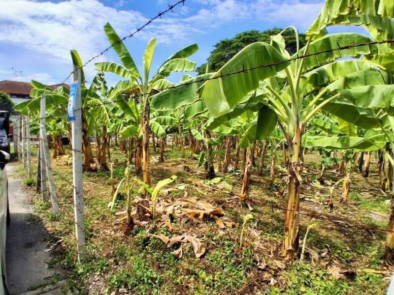 Land for sale 387 sqw, Bangkok, Phra Kanong Nua, Watthana, Bangkok, , 1,548 sqm, Land For Sale, by Sasialinda (Muay), 500227897 - DDproperty.com