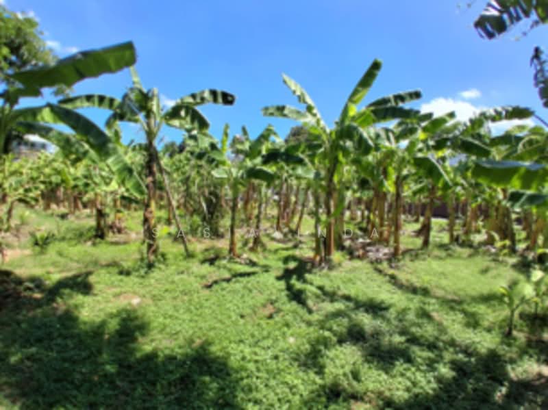 Land for sale 387 sqw, Bangkok, Phra Kanong Nua, Watthana, Bangkok, , 1,548 sqm, Land For Sale, by Sasialinda (Muay), 500227897 - DDproperty.com
