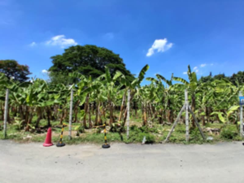 Land for sale 387 sqw, Bangkok, Phra Kanong Nua, Watthana, Bangkok, , 1,548 sqm, Land For Sale, by Sasialinda (Muay), 500227897 - DDproperty.com