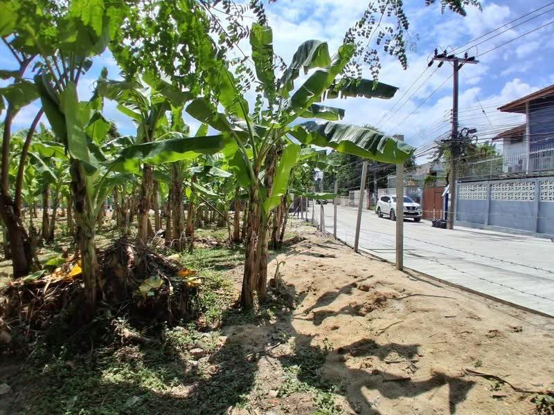 Land for sale 387 sqw, bangkok, Phra Kanong Nua, Watthana, Bangkok, , 1,548 sqm, Land For Sale, by Sasialinda (Muay), 500227897 - DDproperty.com