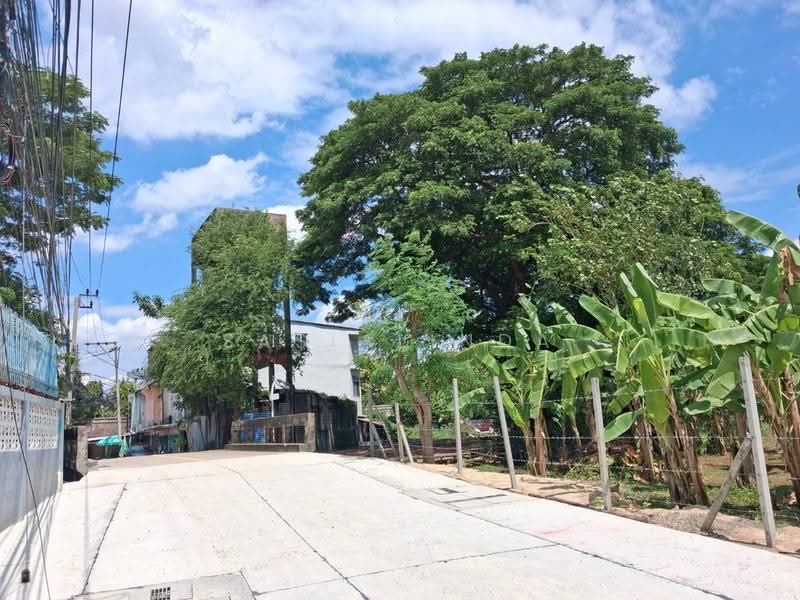 Land for sale 387 sqw, bangkok, Phra Kanong Nua, Watthana, Bangkok, , 1,548 sqm, Land For Sale, by Sasialinda (Muay), 500227897 - DDproperty.com