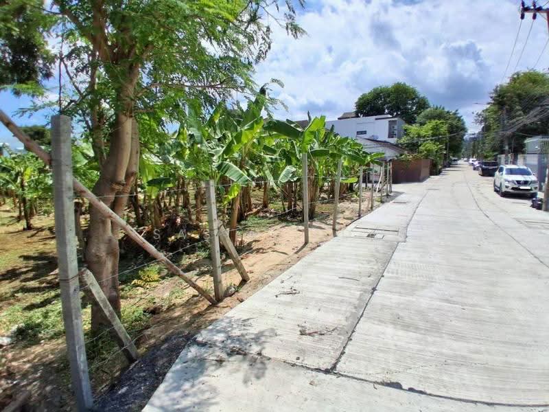 Land for sale 387 sqw, bangkok, Phra Kanong Nua, Watthana, Bangkok, , 1,548 sqm, Land For Sale, by Sasialinda (Muay), 500227897 - DDproperty.com
